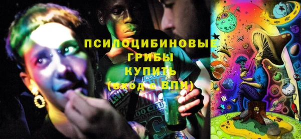 прущие грибы Нягань