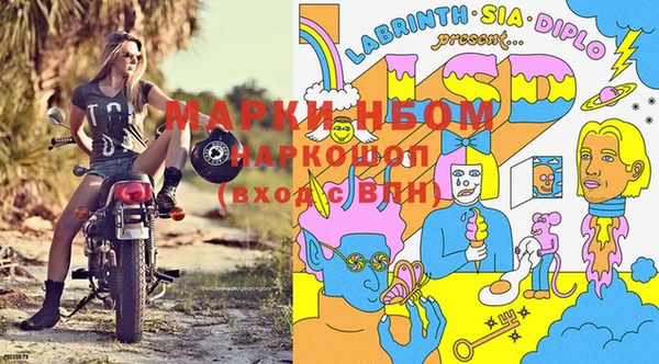 прущие грибы Нягань