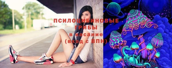 МДПВ Няндома
