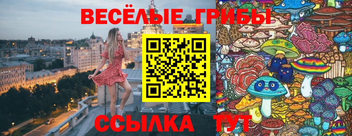 Галлюциногенные грибы Psilocybine cubensis Симферополь