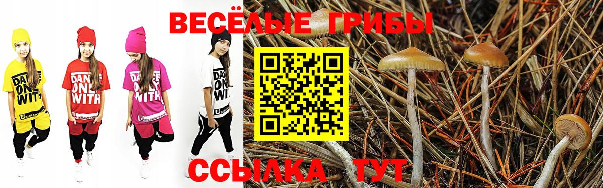 Псилоцибиновые грибы Psilocybine cubensis  Псилоцибиновые грибы MAGIC MUSHROOMS  Симферополь 