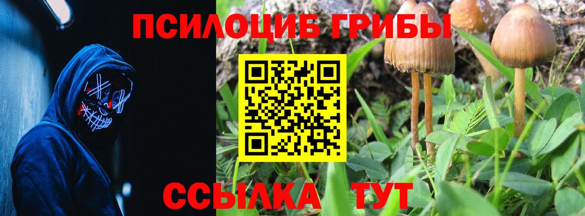 купить наркоту  Вход с VPN  Симферополь  Галлюциногенные грибы Magic Shrooms 